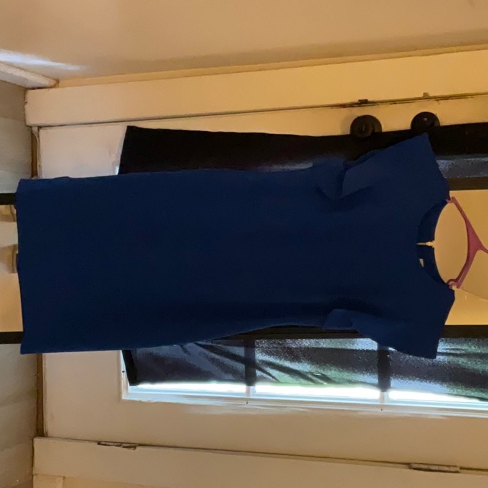 Blue Calvin Klein Dress